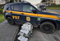 PRF prende motorista que transportava 17kg de maconha na BR-101, em Estância