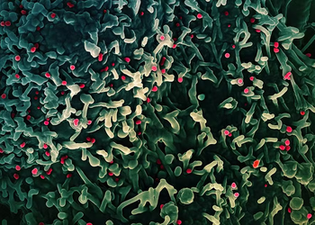 Mpox: OMS confirma circulação de nova variante do vírus