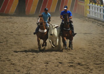 Governo de Sergipe regulamenta vaquejadas, pega de Boi e cavalgadas