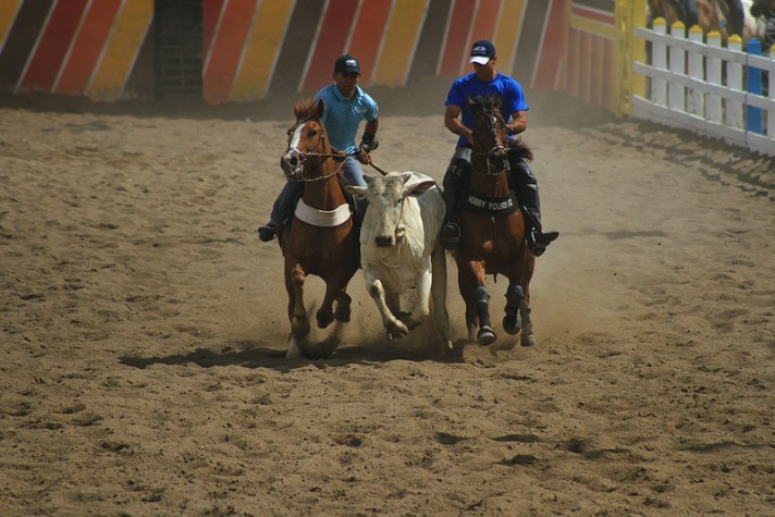 Governo de Sergipe regulamenta vaquejadas, pega de Boi e cavalgadas