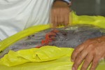 Campanha "Chute Solidário" arrecada cestas básicas para famílias carentes
