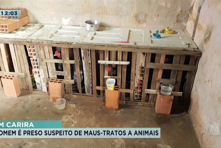 Em Carira: homem é preso por suspeita de maus-tratos a animais