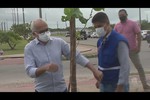 Aracaju Mais Verde: capital vai receber mais de três mil mudas de árvores
