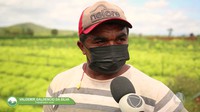 Agro Se: conheça a região que tem estiagem prolongada