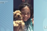 Aracaju: garoto pede ajuda para encontrar cadela desaparecida; veja detalhes