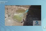 Alta mortandade de peixes em Glória preocupa autoridades ambientais