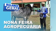 Nesta quarta-feira(17) acontece a nona edição da feira agropecuária de Sergipe
