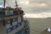 Ministério da Pesca cancela mais de 76 mil licenças de pescadores