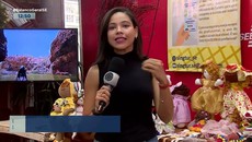 Número de investidores na economia criativa cresce em Sergipe
