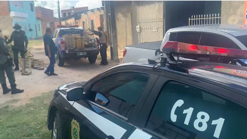 Operação apreende 59 pássaros silvestres no bairro Santa Maria, Zona de Expansão de Aracaju