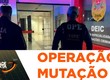 Polícia Civil prende proprietária e gerente de empresa terceirizada envolvida em fraudes em leilões