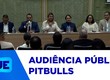 Realizada audiência para discutir a responsabilização de tutores de cães da raça Pitbull