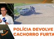 Polícia recupera cachorro furtado em posto de combustíveis em Nossa Senhora do Socorro