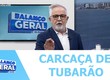 População encontra a carcaça de um tubarão na areia da praia