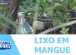 Moradores da zona sul da capital estão preocupados com o lixo na região de mangue