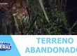Terreno abandonado infestado de caramujos causa transtornos aos moradores do Bairro Santo Antônio