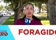 Ação conjunta entre as polícias Civil e Militar captura foragido por crimes contra o patrimônio