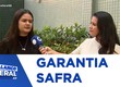 Garantia Safra: podem participar famílias cuja renda bruta seja de até 1,5 salário mínimo