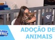 Aracaju realizou durante o fim de semana quarta edição da Feira de Adoção de Animais