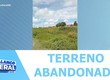Matagal em terreno abandonado causa transtornos aos moradores do Bairro Cidade Nova em Estância