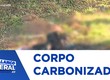 Corpo carbonizado é encontrado às margens da avenida Marechal Rondon, em Aracaju