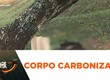 Corpo carbonizado; polícia não descarta morte por briga de território do tráfico de drogas