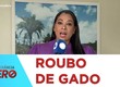 Polícia recupera gado furtado em Nossa Senhora de Aparecida