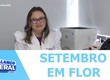 Campanha Setembro em Flor destaca prevenção e diagnóstico precoce dos cânceres ginecológicos