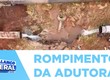 Rompimento da adutora do São Francisco causa transtorno e autoridades falam sobre o caso