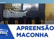 Polícia Militar apreende mais de 200 kg de maconha em Nossa Senhora do Socorro