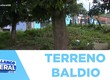 Terreno baldio causando é muito transtorno pros nossos parceiros moradores em São Cristóvão