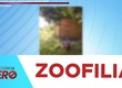 Idoso de 87 anos é indiciado pelo crime de zoofilia no Mosqueiro, em Aracaju