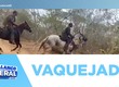 53ª Edição da Vaquejada de Porto da Folha acontece neste fim de semana com várias atrações