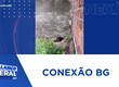 Moradora do bairro Porto Dantas pede ajuda para cão em situação de abandono