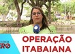 Operação contra crimes patrimoniais; mandados de prisão e busca foram cumpridos