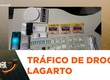 Polícia Civil prende em flagrante suspeito de tráfico de drogas em Lagarto