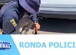 Confira os destaques policiais nesta quinta-feira 16/10
