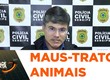 Cresce o número de animais vítimas de maus tratos; polícia apura denúncias