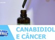 Mulheres em tratamento contra o câncer de mama já podem usar canabidiol para alívio das dores