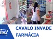 Cavalo invade farmácia na Barra dos Coqueiros e deixa funcionária assustada