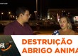 ONG de proteção animal denuncia retirada de abrigos para animais de rua na região da Coroa do Meio