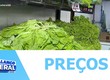 Preços de hortaliças seguem em queda, diz CONAB