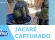 Jacaré visto em lago em condomínio na zona de expansão é capturado pela polícia ambiental