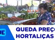 Preços de hortaliças e algumas verduras seguem em queda