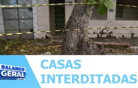 Casas são interditadas após árvore ameaçar cair e moradores pedem uma solução