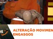Fique atento nas mudanças nas técnicas de desengasgo