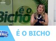 Confira os destaques do quadro “É o bicho”