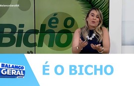 Confira os destaques do quadro “É o bicho”
