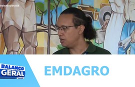 EMDAGRO apreende e destrói mais de 100 mudas de murta comercializadas ilegalmente