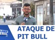 Ataque de pit bull mata cão de estimação em Aracaju